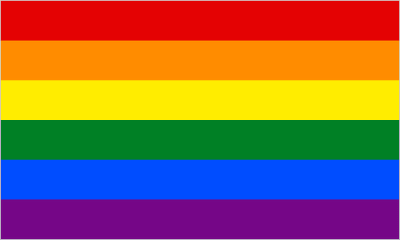 Gay Pride Rainbow Large Flag - 3' x 2'