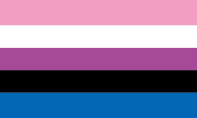 Genderfluid Large Flag - 3' x 2'