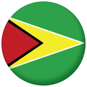 Guyana Country Flag 58mm Mirror
