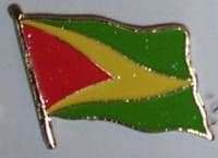 Guyana Country Flag Enamel Pin Badge