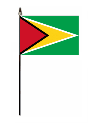 Guyana Country Hand Flag - Small.