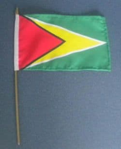 Guyana Country Hand Flag.
