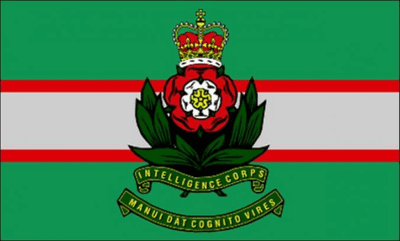 Intelligence Corps Large Flag - 5' x 3'.