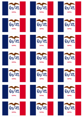 Iowa Flag Stickers - 21 per sheet