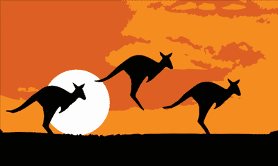 Kangaroo Silhouette Large Flag - 5' x 3'