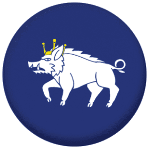 Kingswinford Town / City Flag 25mm Fridge Magnet