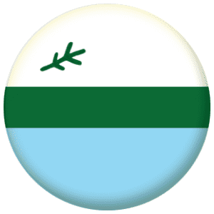 Labrador Flag 58mm Button Badge