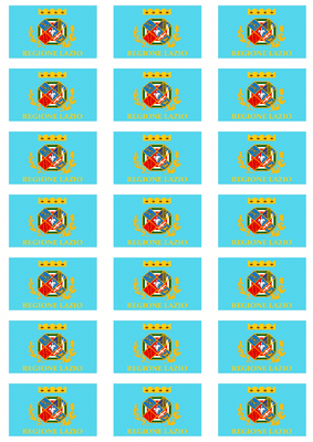 Lazio Flag Stickers - 21 per sheet