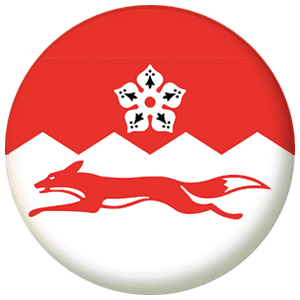 Leicestershire County Flag 25mm Pin Button Badge