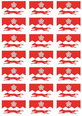 Leicestershire Flag Stickers - 21 per sheet