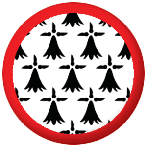 Limousin Province Flag 25mm Flat Back