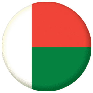 標本 Madagascar Pantelica tricolor 44mm Madagascar Country Flag 25mm Flat Back