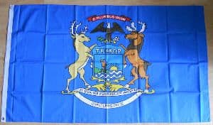 Michigan State Large Flag - 5' x 3'.