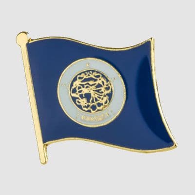Minnesota US State Flag Enamel Pin Badge - small