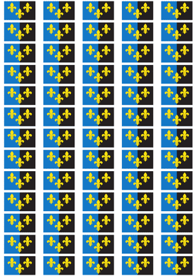 Monmouthshire Flag Stickers - 65 per sheet