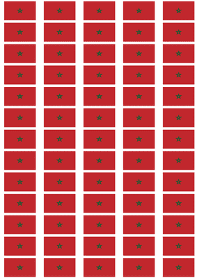 Morocco Flag Stickers - 65 per sheet