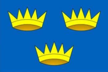 Munster Large Flag - 5' x 3'.