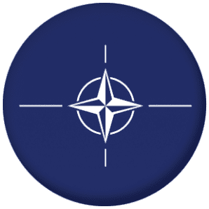 NATO 25mm Fridge Magnet