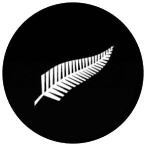 New Zealand Fern Flag 25mm Flat Back