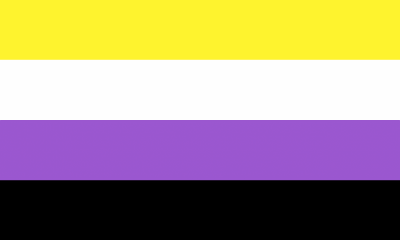 Non Binary Pride Large Flag - 3' x 2'