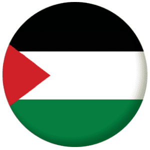Palestine Country Flag 25mm Pin Button Badge