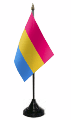 Pansexual Pride Desk / Table Flag with plastic stand and base