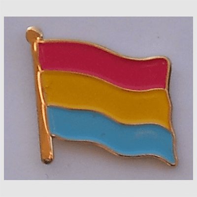 Pansexual Pride Flag Enamel Pin Badge