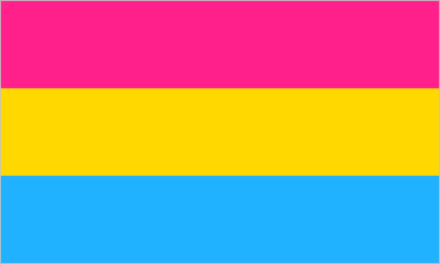 Pansexual Pride Large Flag - 5' x 3'