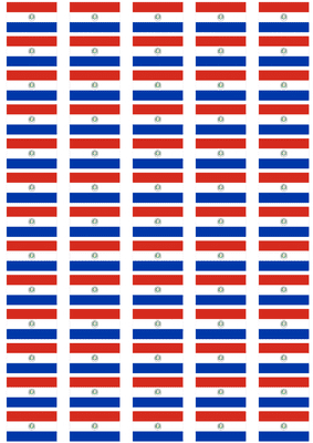 Paraguay Flag Stickers - 65 per sheet