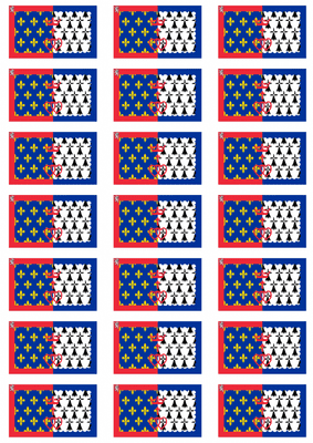 Pays de la Loire Flag Stickers - 21 per sheet