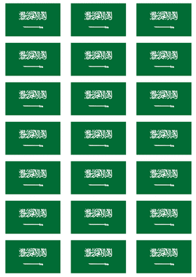 Saudi Arabia Flag Stickers - 21 per sheet