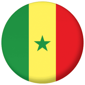 Senegal Country Flag 25mm Pin Button Badge