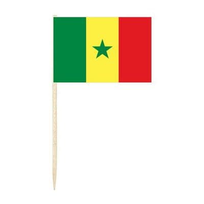 Senegal Country Flag Cocktail Sticks (pack of 10)