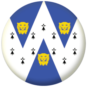 Shropshire Council Flag 25mm Pin Button Badge