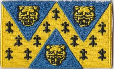 Shropshire Embroidered Flag Patch, style 04