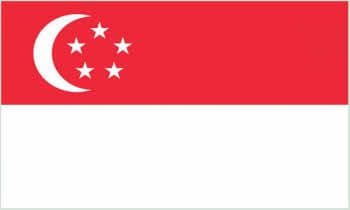 Singapore Large Country Flag - 3' x 2'.