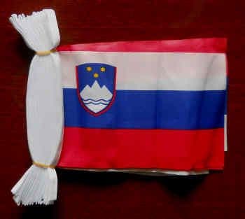 Slovenia Bunting, rectangular, 9 metre.