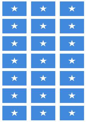 Somalia Flag Stickers - 21 per sheet