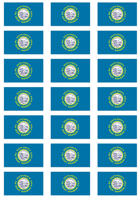 South Dakota Flag Stickers - 21 per sheet