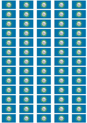 South Dakota Flag Stickers - 65 per sheet