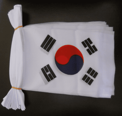 South Korea Bunting, rectangular, 9 metre.