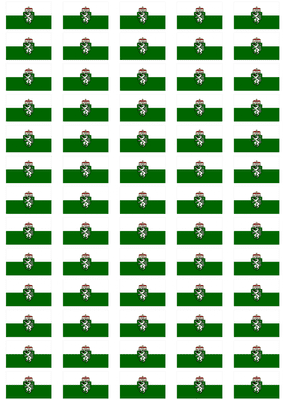 Styria Flag Stickers - 65 per sheet