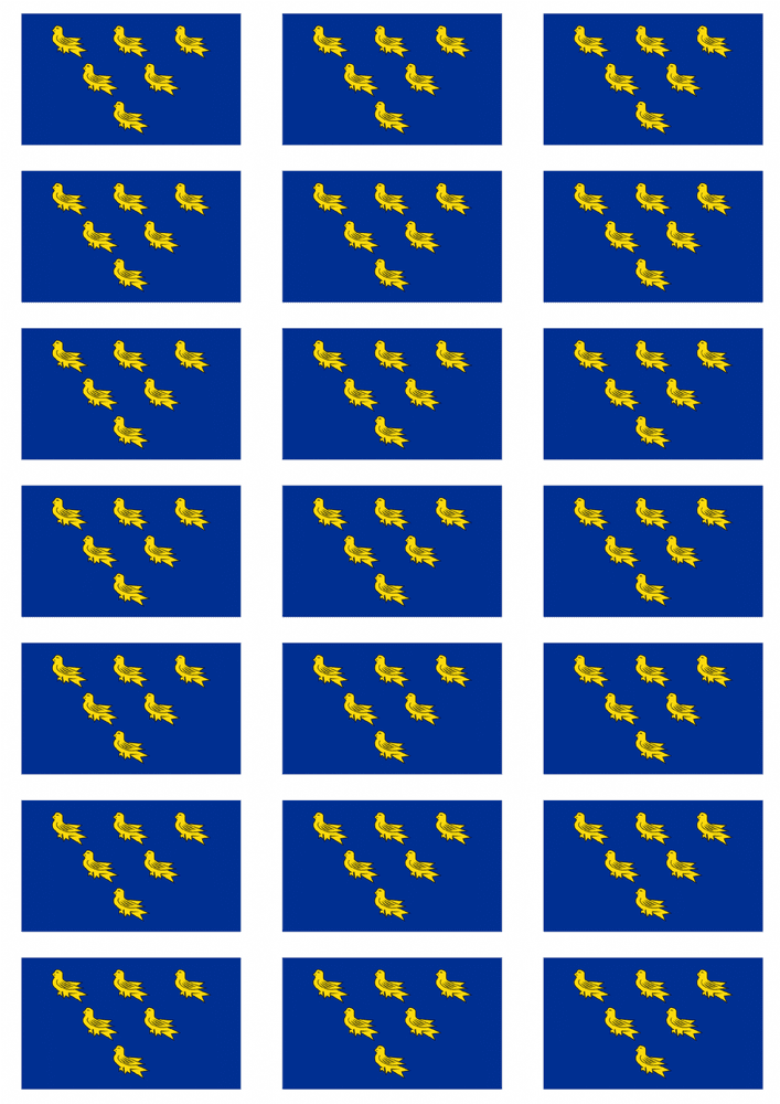Sussex Flag Stickers - 21 per sheet