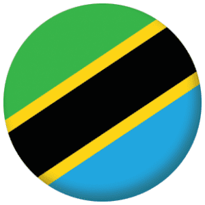 Tanzania Country Flag 25mm Fridge Magnet