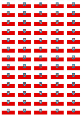 Thuringia Flag Stickers - 65 per sheet