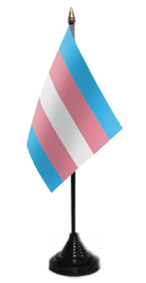 Transgender Pride (pink/blue) Desk / Table Flag with plastic stand and base