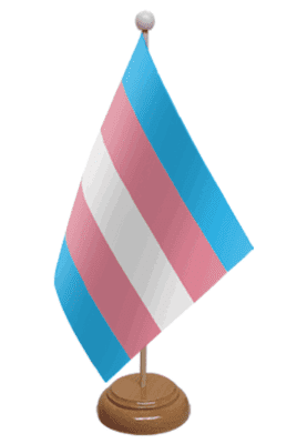 Transgender Pride (pink/blue) Desk / Table Flag with wooden stand and base