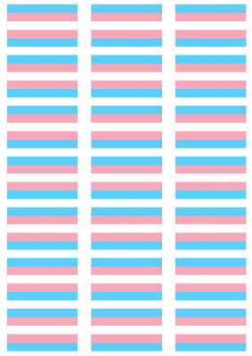 Transgender Pride (pink/blue) Flag Stickers - 21 per sheet