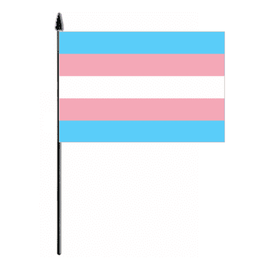 Transgender Pride (pink/blue) Hand Flag - Medium
