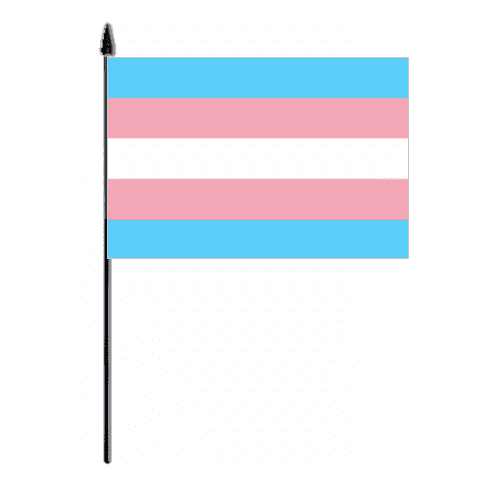 Transgender Pride (pink/blue) Hand Flag - Medium